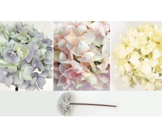 ΟΡΤΑΝΣΙΑ 47cm 0516104 ΟΡΤΑΝΣΙΑ 47cm 0516104