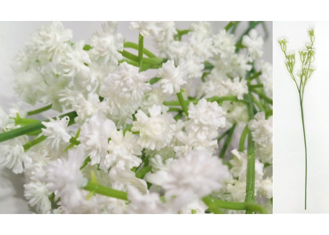 ΚΛΑΔΙ ΓΥΨΟΦΥΛΛΟ 60cm 0516105 ΚΛΑΔΙ ΓΥΨΟΦΥΛΛΟ 60cm 0516105