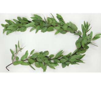 ΕΥΚΑΛΥΠΤΟΣ ΓΙΡΛΑΝΤΑ 1.5m 0516106