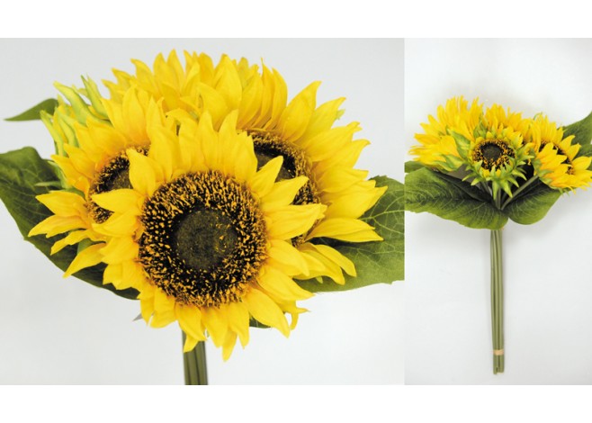 ΜΠΟΥΚΕΤΟ ΜΕ 7 ΗΛΙΟΥΣ 0516108 ΜΠΟΥΚΕΤΟ ΜΕ 7 ΗΛΙΟΥΣ 0516108