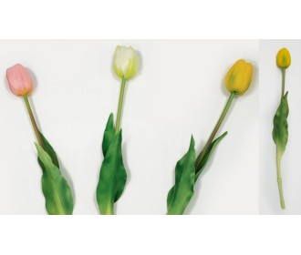 ΤΟΥΛΙΠΑ 40cm 0516109 ΤΟΥΛΙΠΑ 40cm 0516109