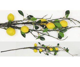 ΚΛΑΔΙ ΜΕ ΛΕΜΟΝΙΑ 1.1m 0516111 ΚΛΑΔΙ ΜΕ ΛΕΜΟΝΙΑ 1.1m 0516111