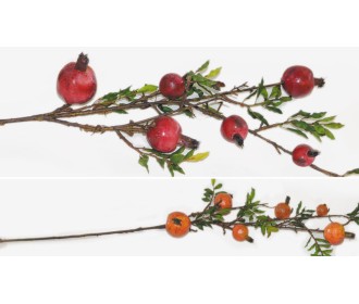 ΚΛΑΔΙ ΜΕ 6 ΡΟΔΙΑ 80cm 0516120 ΚΛΑΔΙ ΜΕ 6 ΡΟΔΙΑ 80cm 0516120