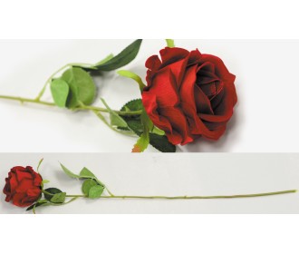 ΤΡΙΑΝΤΑΦΥΛΛΟ 55cm x 8cm 0516124 ΤΡΙΑΝΤΑΦΥΛΛΟ 55cm x 8cm 0516124