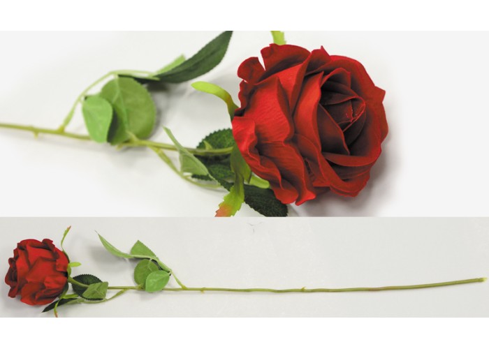 ΤΡΙΑΝΤΑΦΥΛΛΟ 55cm x 8cm 0516124 ΤΡΙΑΝΤΑΦΥΛΛΟ 55cm x 8cm 0516124