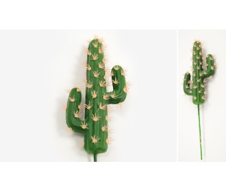 ΚΑΚΤΟΣ 20cm 0516131 ΚΑΚΤΟΣ 20cm 0516131