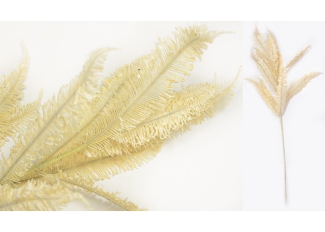 ΦΤΕΡΗ ΕΚΡΟΥ 30cm x 95cm 0516134 ΦΤΕΡΗ ΕΚΡΟΥ 30cm x 95cm 0516134