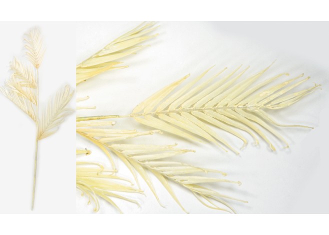 ΚΛΑΔΙ ΦΟΙΝΙΚΑ ΕΚΡΟΥ 35cm x 90cm 0516135 ΚΛΑΔΙ ΦΟΙΝΙΚΑ ΕΚΡΟΥ 35cm x 90cm 0516135