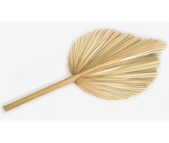 ΑΠΟΞΗΡΑΜΕΝΟ ΦΥΛΛΟ ΦΟΙΝΙΚΑ ΠΛΑΤΥ ΜΕΓΑΛΟ 34cm x 68cm 0516136