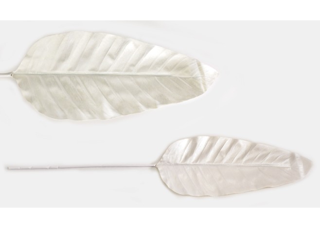 ΛΕΥΚΟ ΦΥΛΛΟ ΜΑΚΡΟΣΤΕΝΟ 10cm x 80cm 0516138 ΛΕΥΚΟ ΦΥΛΛΟ ΜΑΚΡΟΣΤΕΝΟ 10cm x 80cm 0516138