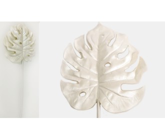 ΜΟΝΣΤΕΡΑ ΛΕΥΚΗ 60cm x 14cm 0516139 ΜΟΝΣΤΕΡΑ ΛΕΥΚΗ 60cm x 14cm 0516139