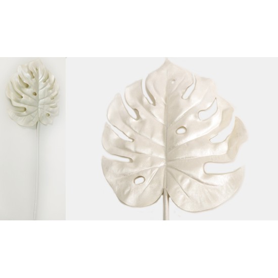 ΜΟΝΣΤΕΡΑ ΛΕΥΚΗ 60cm x 14cm 0516139