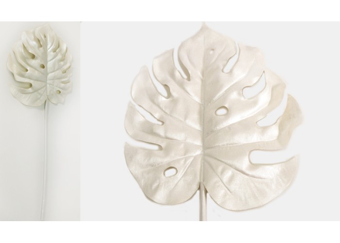 ΜΟΝΣΤΕΡΑ ΛΕΥΚΗ 60cm x 14cm 0516139 ΜΟΝΣΤΕΡΑ ΛΕΥΚΗ 60cm x 14cm 0516139