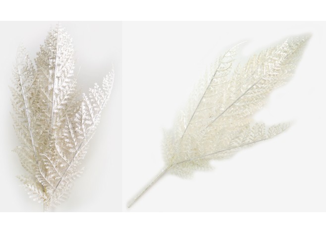 ΦΤΕΡΗ ΛΕΥΚΗ 10cm x 55cm 0516140 ΦΤΕΡΗ ΛΕΥΚΗ 10cm x 55cm 0516140