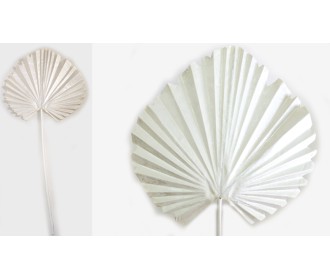 ΦΥΛΛΟ ΦΟΙΝΙΚΑ ΛΕΥΚΟ 15cm x 60cm 0516141