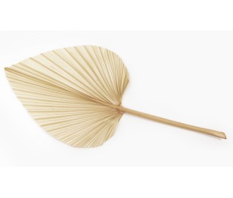 ΑΠΟΞΗΡΑΜΕΝΟ ΦΥΛΛΟ ΠΑΛΜΑ ΛΕΥΚΑΜΕΝΟ 25cm 0516149