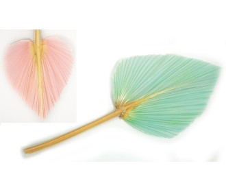 ΑΠΟΞΗΡΑΜΕΝΟ ΦΥΛΛΟ ΠΑΛΜΑ ΜΕ ΧΡΩΜΑ 25cm 0516150