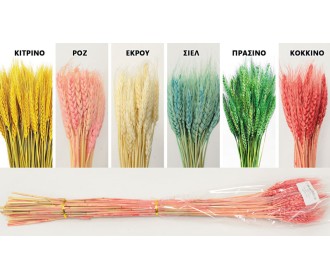 WHEAT 70cm 0516155 WHEAT 70cm 0516155