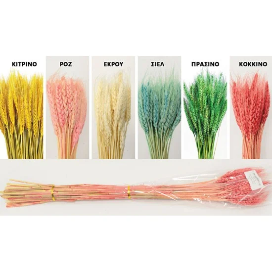 WHEAT 70cm 0516155