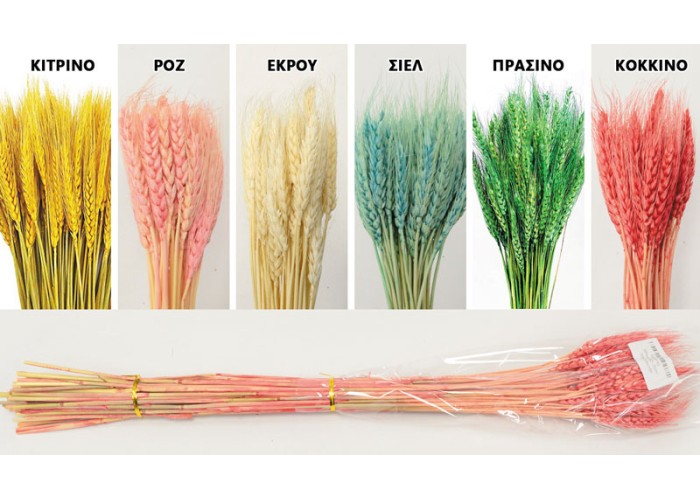 WHEAT 70cm 0516155 WHEAT 70cm 0516155