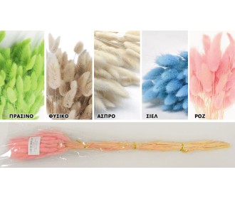 LAGURUS 60cm 0516158 LAGURUS 60cm 0516158