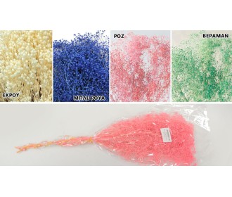 ΓΥΨΟΦΥΛΛΟ ΨΙΛΟ 70cm 0516159 ΓΥΨΟΦΥΛΛΟ ΨΙΛΟ 70cm 0516159