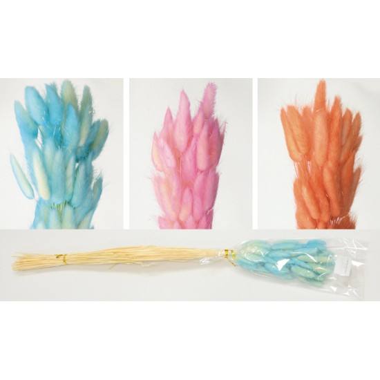 LAGURUS ΔΙΧΡΩΜΟ 60cm 0516163 LAGURUS ΔΙΧΡΩΜΟ 60cm 0516163