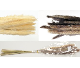 PAMPAS 70cm 0516166 PAMPAS 70cm 0516166