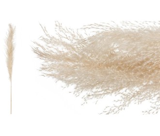 PAMPAS 120cm 0516167 PAMPAS 120cm 0516167