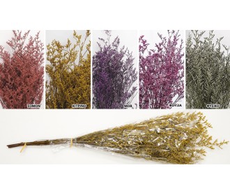 LOVER GRASS 80cm 0516175 LOVER GRASS 80cm 0516175