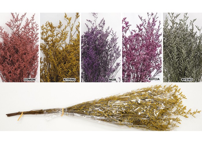 LOVER GRASS 80cm 0516175 LOVER GRASS 80cm 0516175
