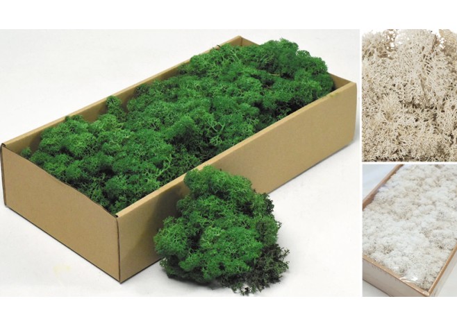MOSS 500g 0516180 MOSS 500g 0516180