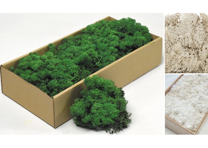 MOSS 500g 0516180 MOSS 500g 0516180