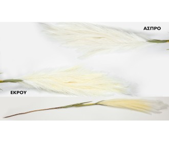 ΚΛΑΔΙ ΤΥΠΟΥ PAMPAS 120cm 0516190 ΚΛΑΔΙ ΤΥΠΟΥ PAMPAS 120cm 0516190