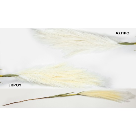 ΚΛΑΔΙ ΤΥΠΟΥ PAMPAS 120cm 0516190 ΚΛΑΔΙ ΤΥΠΟΥ PAMPAS 120cm 0516190