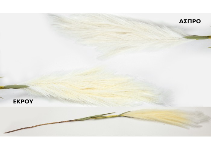 ΚΛΑΔΙ ΤΥΠΟΥ PAMPAS 120cm 0516190 ΚΛΑΔΙ ΤΥΠΟΥ PAMPAS 120cm 0516190