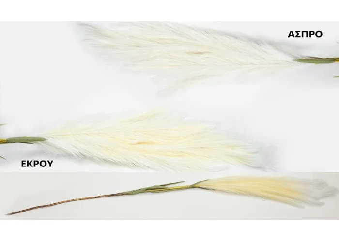 ΚΛΑΔΙ ΤΥΠΟΥ PAMPAS 120cm 0516190