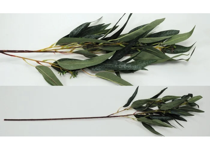 ΚΛΑΔΙ ΕΥΚΑΛΥΠΤΟΣ 90cm 0516192
