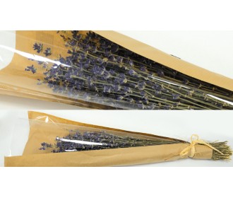 ΛΕΒΑΝΤΑ ΜΠΟΥΚΕΤΟ ΣΕ ΠΕΡΙΤΥΛΙΓΜΑ 0516194