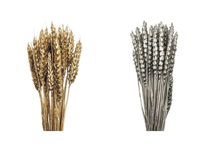 WHEAT 50cm 0516197 WHEAT 50cm 0516197