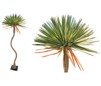 ΑΓΑΥΗ ME ΠΡΑΓΜΑΤΙΚΗ ΥΦΗ ΨΗΛΗ ΜΕ ΒΑΣΗ 288cm 0516204 ΑΓΑΥΗ ME ΠΡΑΓΜΑΤΙΚΗ ΥΦΗ ΨΗΛΗ ΜΕ ΒΑΣΗ 288cm 0516204