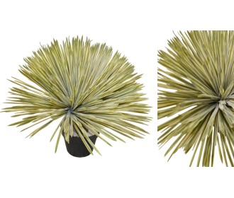 ΓΙΟΥΚΑ ME ΠΡΑΓΜΑΤΙΚΗ ΥΦΗ ΜΕ ΓΛΑΣΤΡΑ 58cm 0516207 ΓΙΟΥΚΑ ME ΠΡΑΓΜΑΤΙΚΗ ΥΦΗ ΜΕ ΓΛΑΣΤΡΑ 58cm 0516207