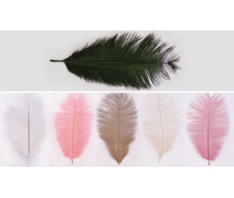 ΦΤΕΡΑ ΜΕΓΑΛΑ 18-24cm 10τεμ/Πακ 0517130 ΦΤΕΡΑ ΜΕΓΑΛΑ 18-24cm 10τεμ/Πακ 0517130