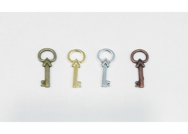ΜΕΤΑΛΛΙΚΟ ΚΛΕΙΔΙ 21mm x 10mm 0517158