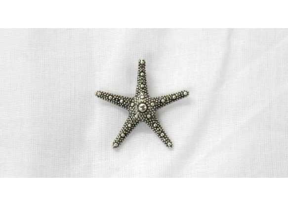 ΜΕΤΑΛΛΙΚΚΟ ΑΣΤΕΡΙΑΣ 3.8cm 0517417 ΜΕΤΑΛΛΙΚΚΟ ΑΣΤΕΡΙΑΣ 3.8cm 0517417