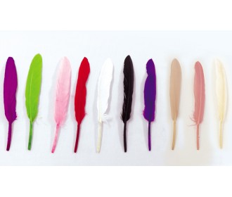 ΠΟΥΠΟΥΛΟ ΦΤΕΡΟ ΜΑΚΡΟΣΤΕΝΟ 13.5cm 50ΤΕΜ 0517495