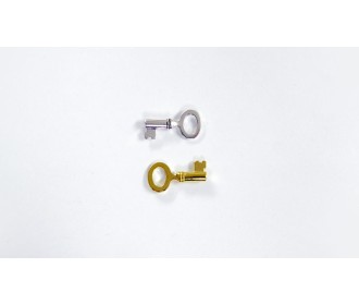 ΜΕΤΑΛΛΙΚΟ ΚΛΕΙΔΙ ΜΙΚΡΟ 25mm x 10mm 0517742 ΜΕΤΑΛΛΙΚΟ ΚΛΕΙΔΙ ΜΙΚΡΟ 25mm x 10mm 0517742