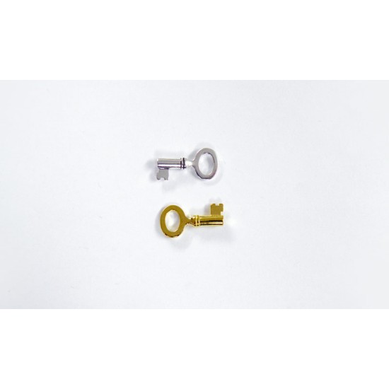ΜΕΤΑΛΛΙΚΟ ΚΛΕΙΔΙ ΜΙΚΡΟ 25mm x 10mm 0517742