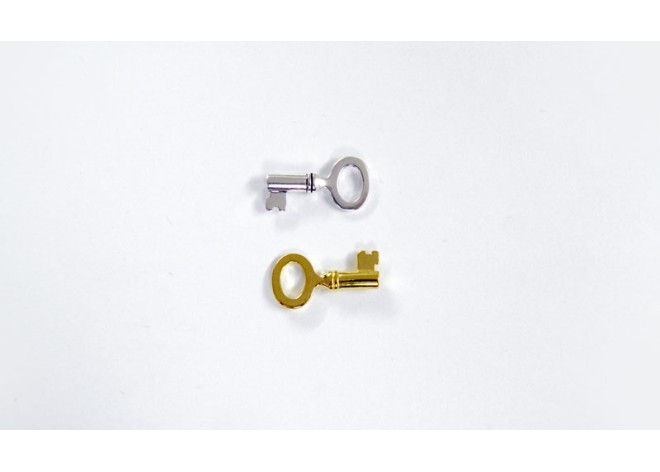 ΜΕΤΑΛΛΙΚΟ ΚΛΕΙΔΙ ΜΙΚΡΟ 25mm x 10mm 0517742 ΜΕΤΑΛΛΙΚΟ ΚΛΕΙΔΙ ΜΙΚΡΟ 25mm x 10mm 0517742