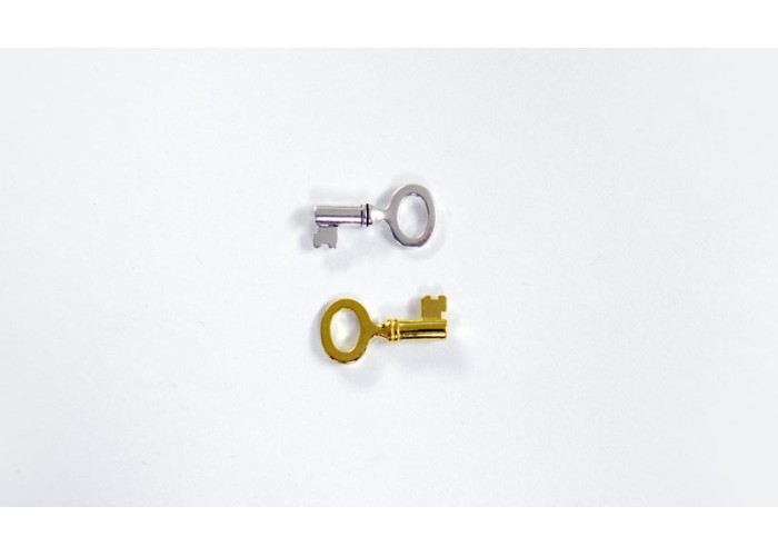 ΜΕΤΑΛΛΙΚΟ ΚΛΕΙΔΙ ΜΙΚΡΟ 25mm x 10mm 0517742 ΜΕΤΑΛΛΙΚΟ ΚΛΕΙΔΙ ΜΙΚΡΟ 25mm x 10mm 0517742